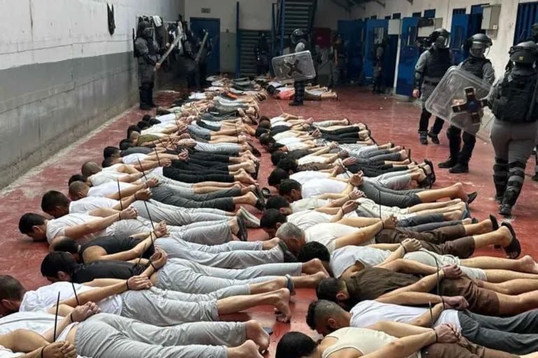 qibfhcfzseg7qy66xyxf 1762174668