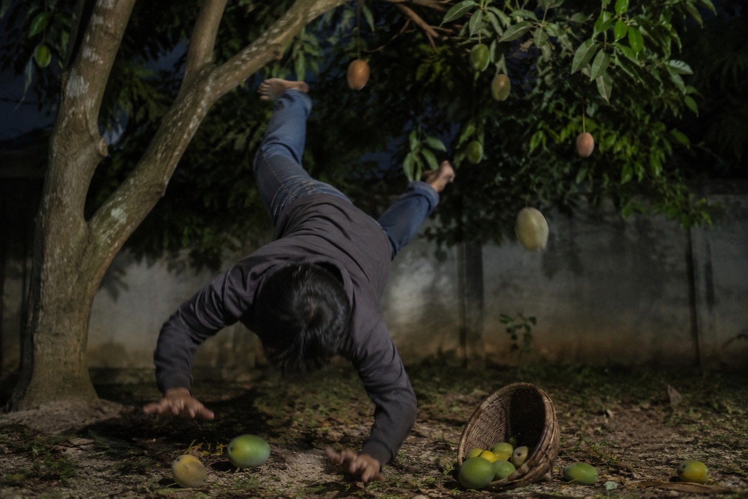 Terjatuh dan Tewas Saat Mencuri Mangga, Keluarga Pencuri Tak Terima Hingga Datangi dan Rusak Rumah Pemilik Pohon Mangga Terjatuh dan Tewas Saat Mencuri Mangga, Keluarga Pencuri Tak Terima Hingga Datangi dan Rusak Rumah Pemilik Pohon Mangga