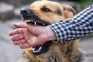 Pasien Digigit Anjing, Petugas Puskesmas Bengkulu ini Malah Suruh Gigit Balik