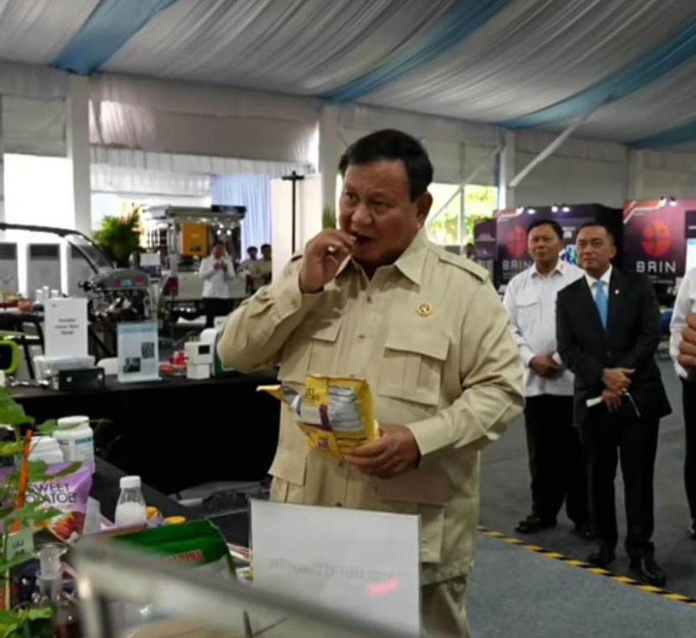 81 Tahun Indonesia Merdeka, BRIN Berhasil Menemukan Keripik image