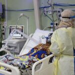 Kasus Pertama Virus Shamonda Ditemukan di Perancis, 1 Pasien Meninggal Dunia Kasus Pertama Virus Shamonda Ditemukan di Perancis, 1 Pasien Meninggal Dunia