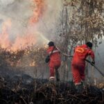 Karhutla Indonesia Menjadi Kebakaran Hutan Terparah di Dunia, Emisi Kebakaran Mencapai Puluhan Juta Ton