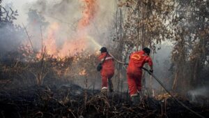 Karhutla Indonesia Menjadi Kebakaran Hutan Terparah di Dunia, Emisi Kebakaran Mencapai Puluhan Juta Ton
