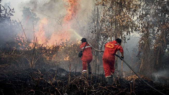 Karhutla Indonesia Menjadi Kebakaran Hutan Terparah di Dunia, Emisi Kebakaran Mencapai Puluhan Juta Ton